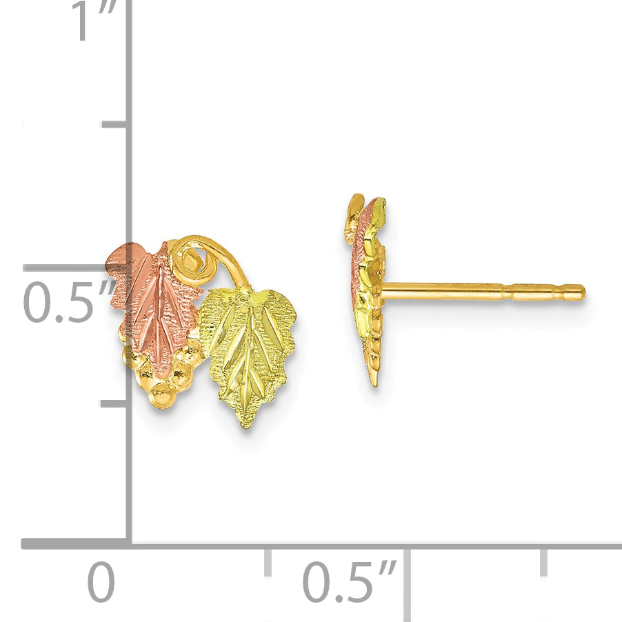 10k Tri-color Black Hills Gold Post Earrings