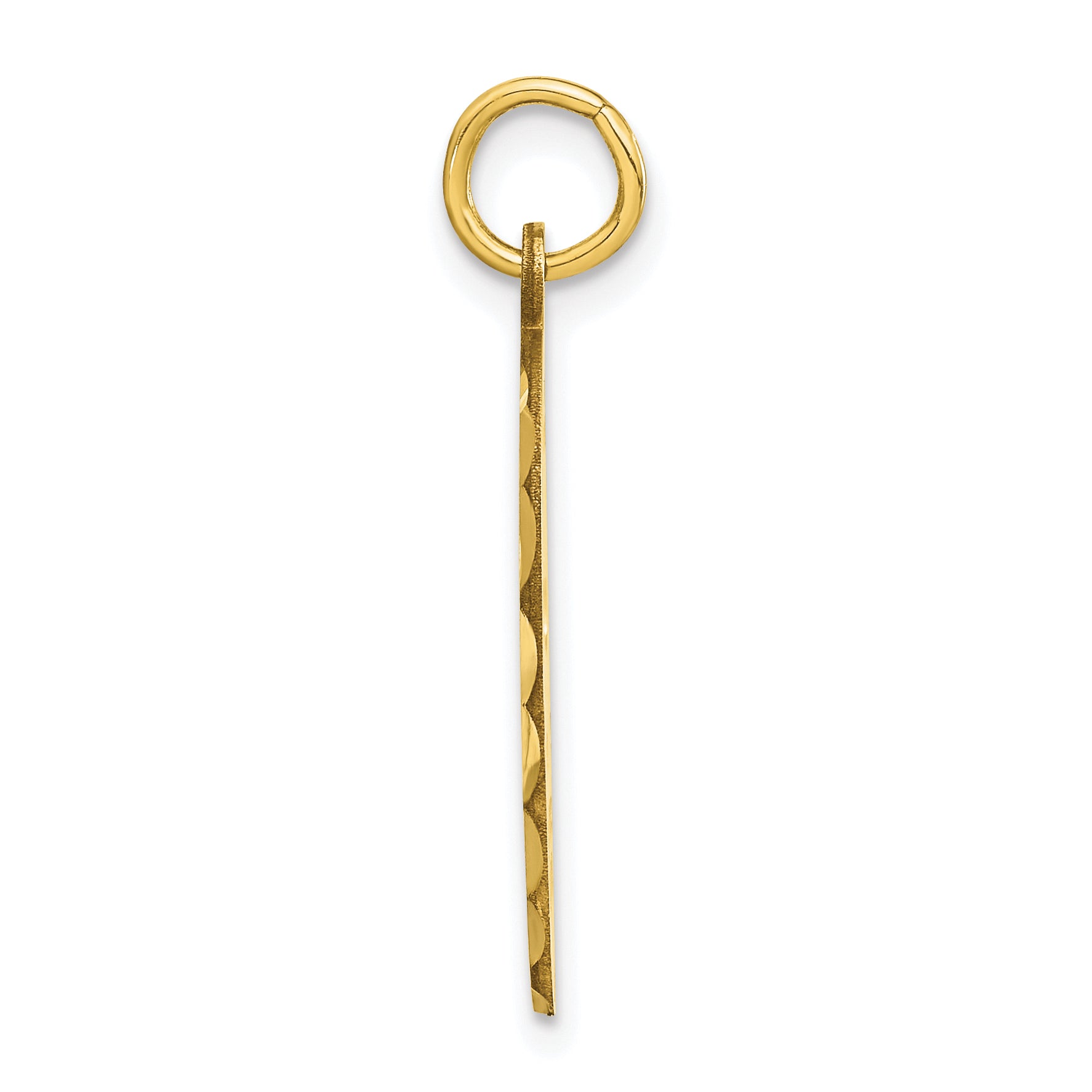 10k Hockey Mask Charm