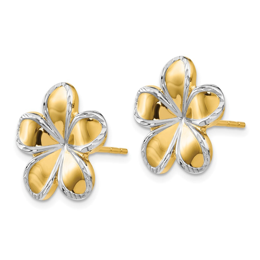 14K W/Rhodium Flower Post Earrings