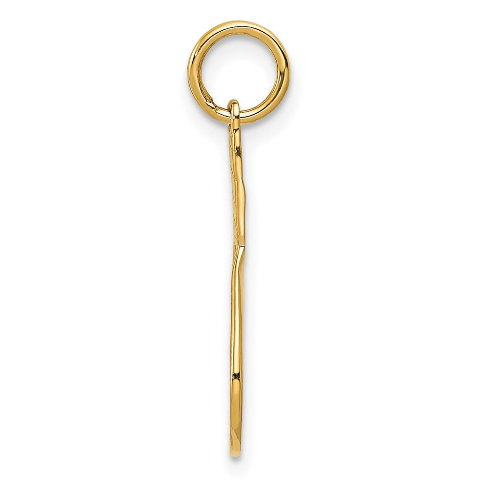 14k Racquet Charm