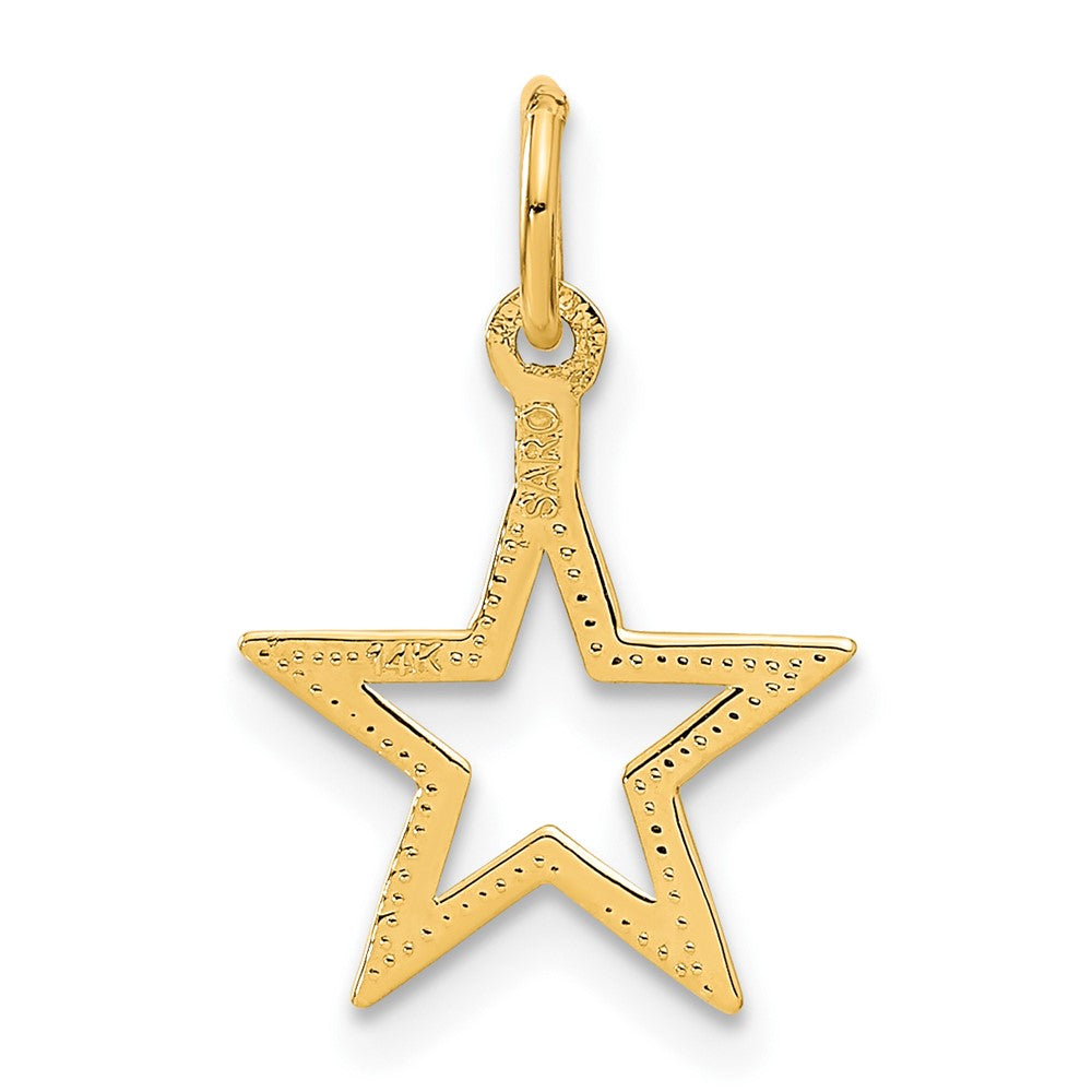 14k Diamond-cut Star Charm