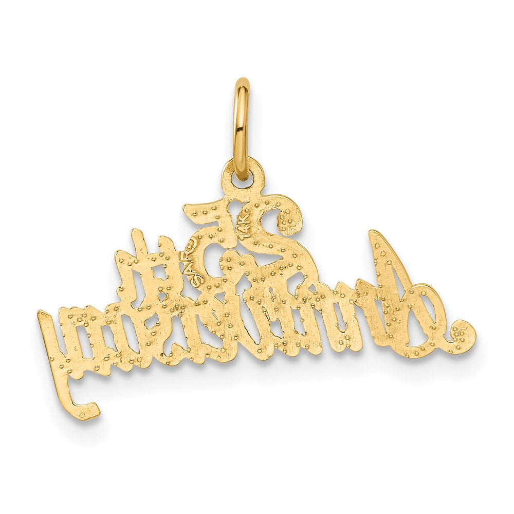 14k 25th ANNIVERSARY Charm