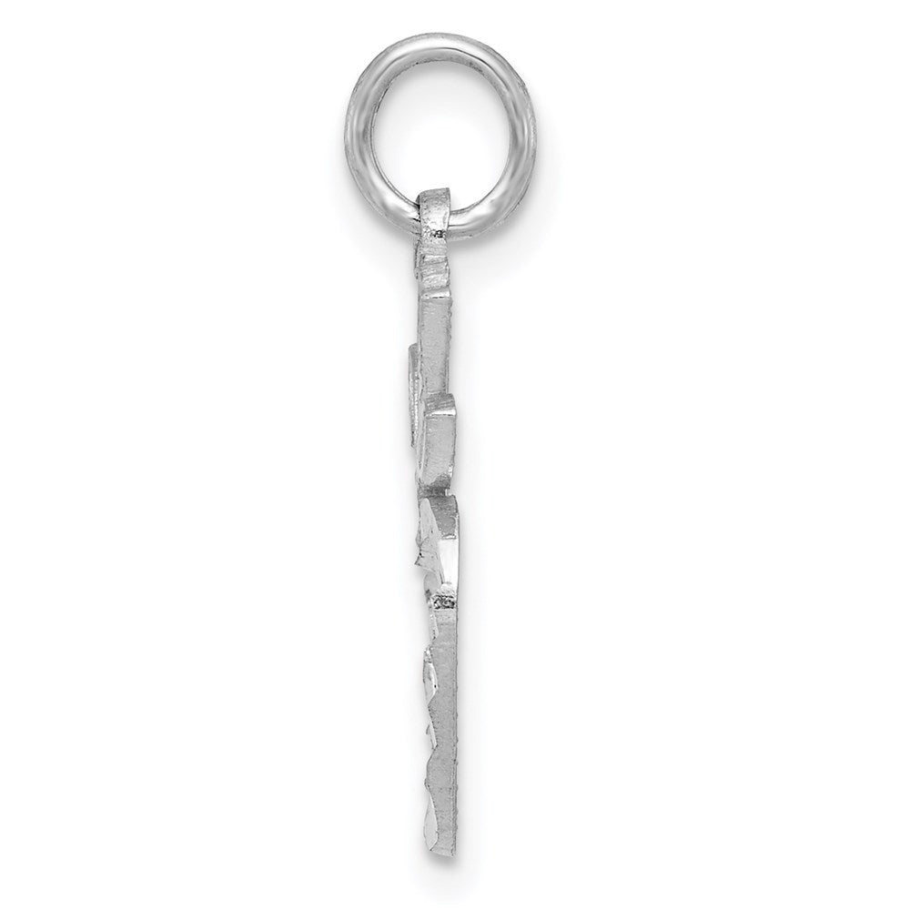 14k White Gold Diamond-cut Apple Charm