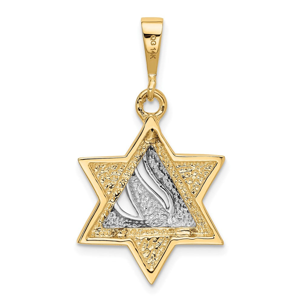 14k Two-tone Star of David Pendant