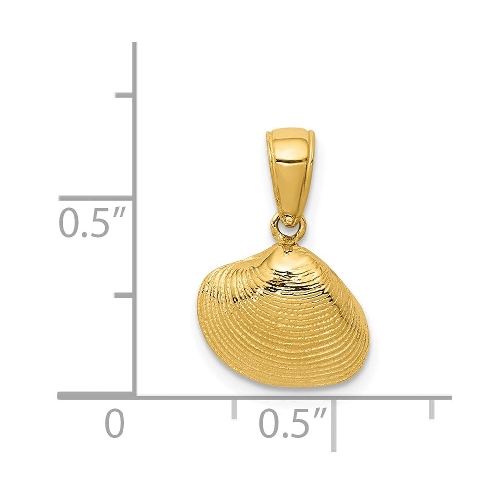 14k Small Clam Shell Pendant