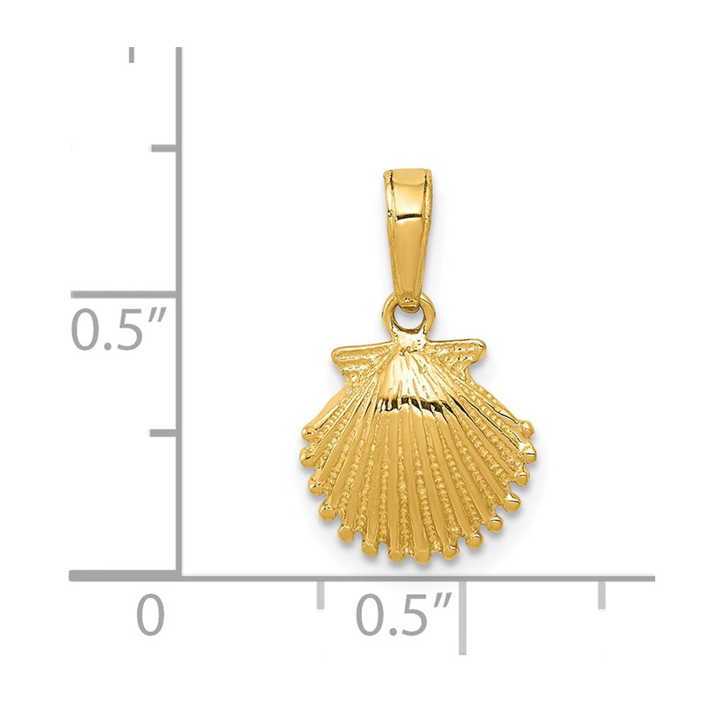 14k Scallop Shell Pendant