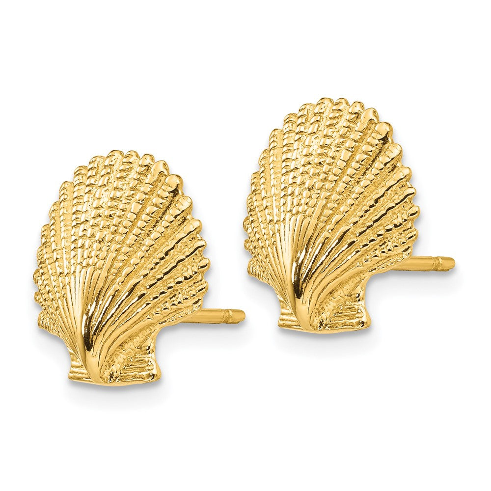14K Scallop Shell Post Earrings