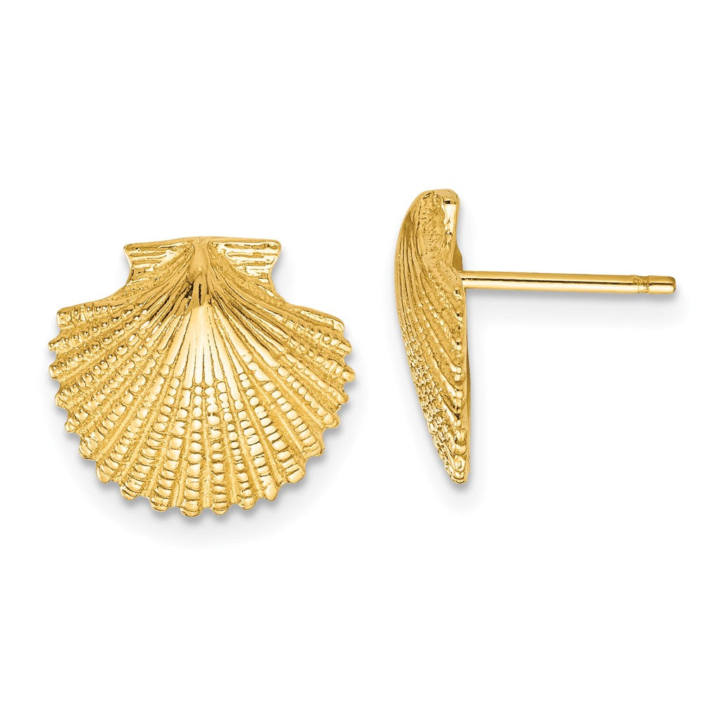 14K Scallop Shell Post Earrings