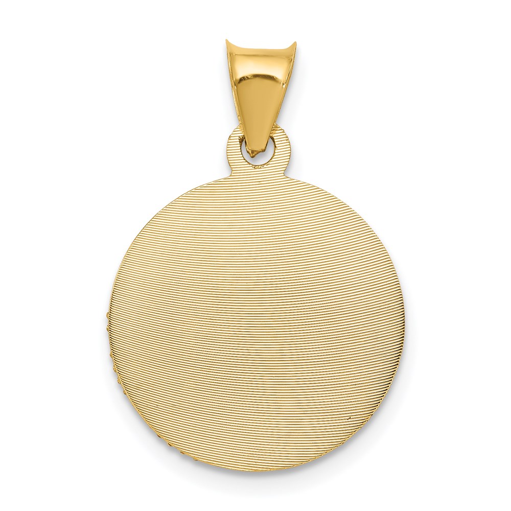 14K w/Rose and White Rhodium D/C Sagrado Corazon Pendant