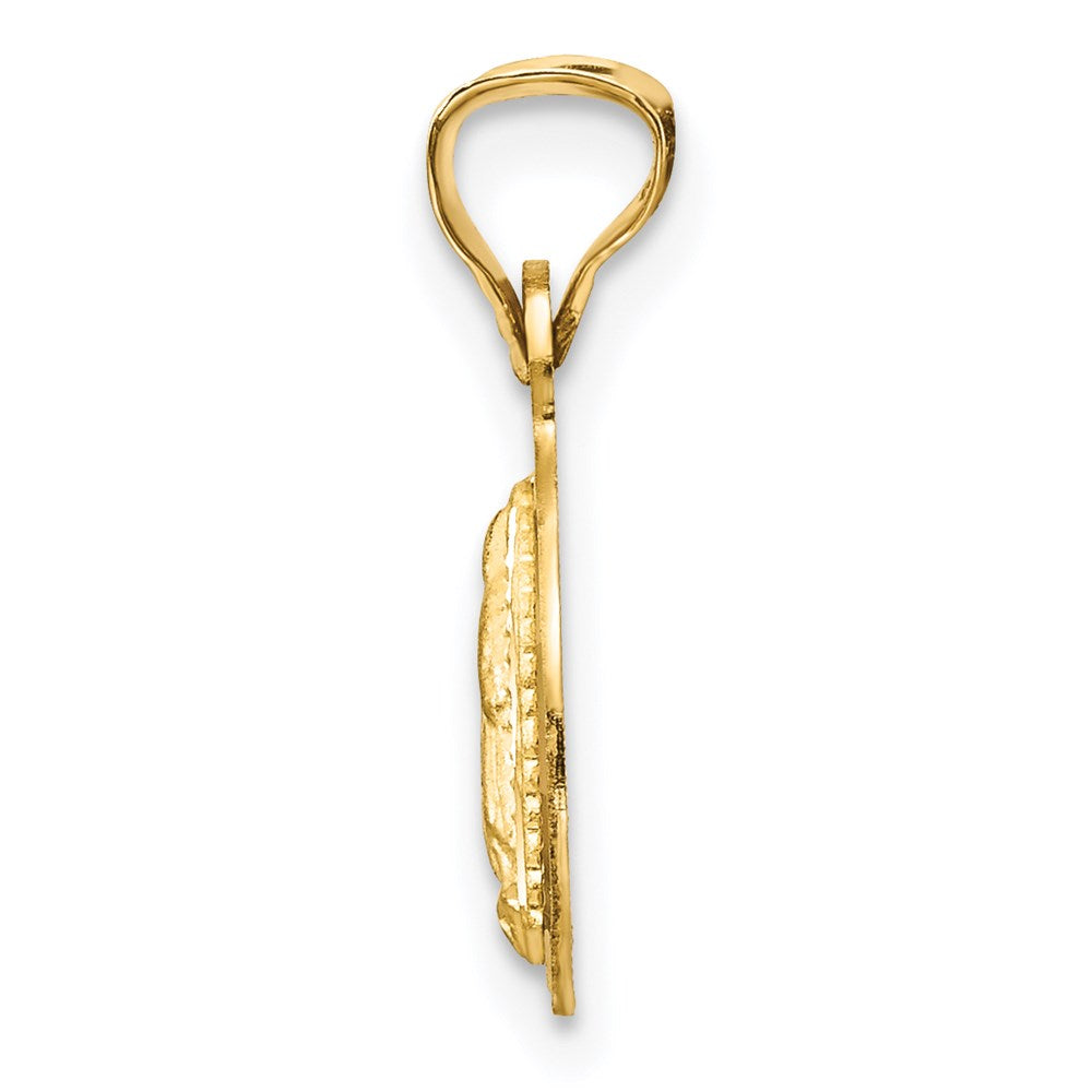 14K w/Rhodium Polished D/C Lady Of Guadalupe Circle Pendant