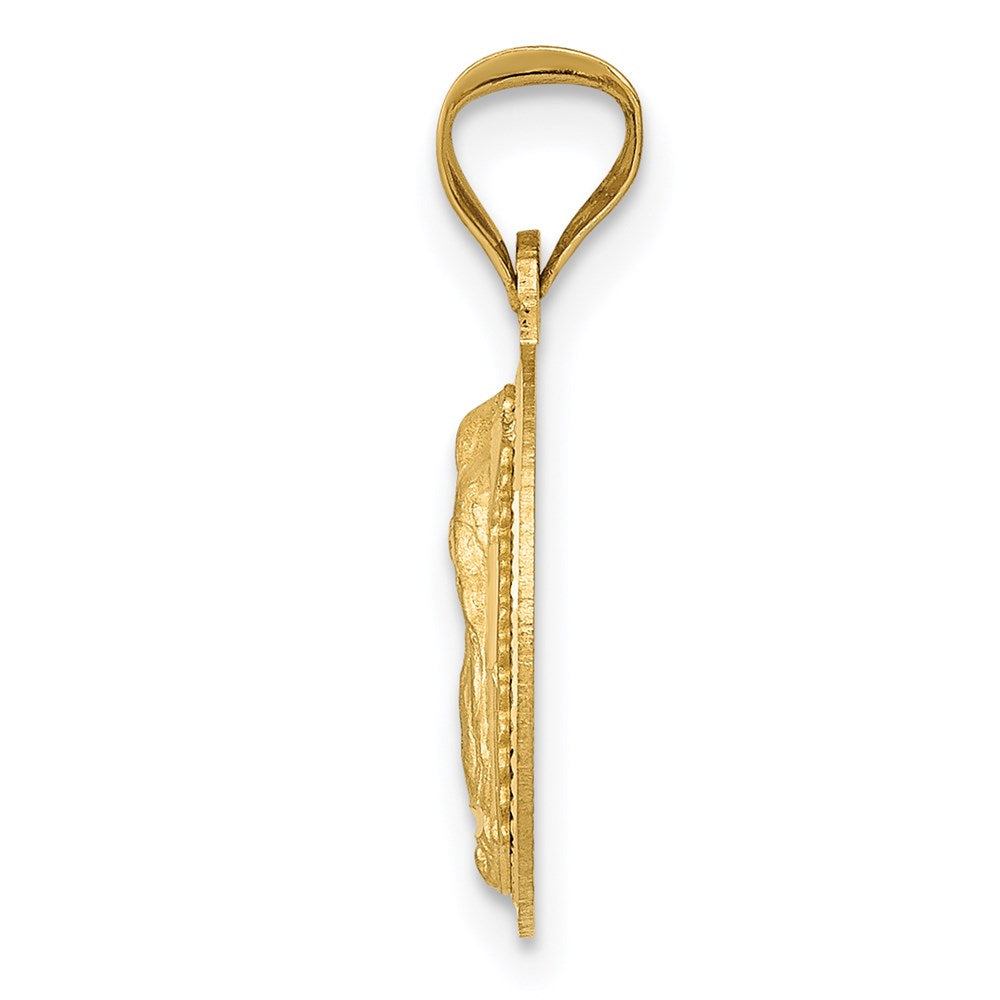 14K Polished D/C Lady Of Guadalupe Circle Pendant