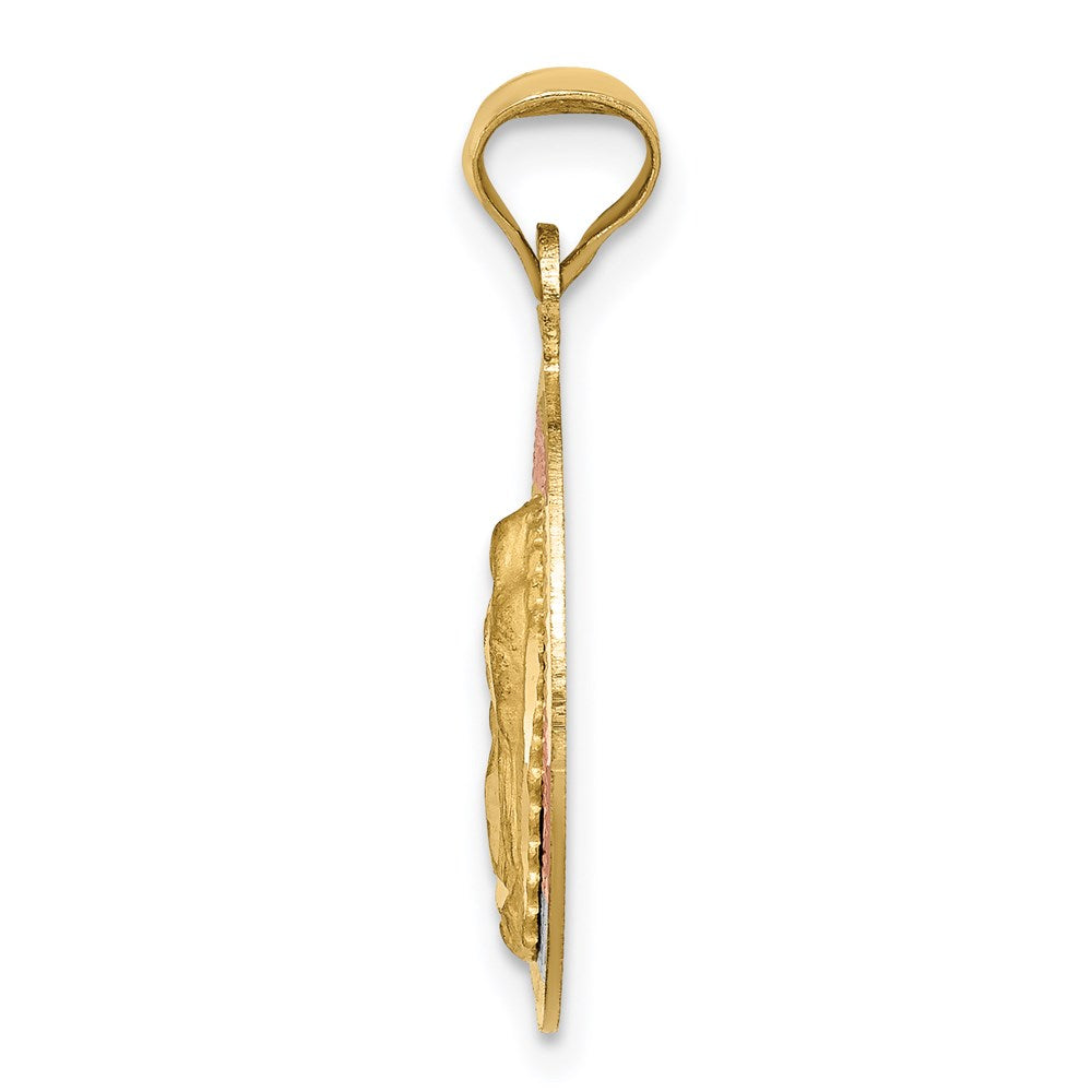 14K w/Rhodium Polished D/C Lady Of Guadalupe Circle Pendant