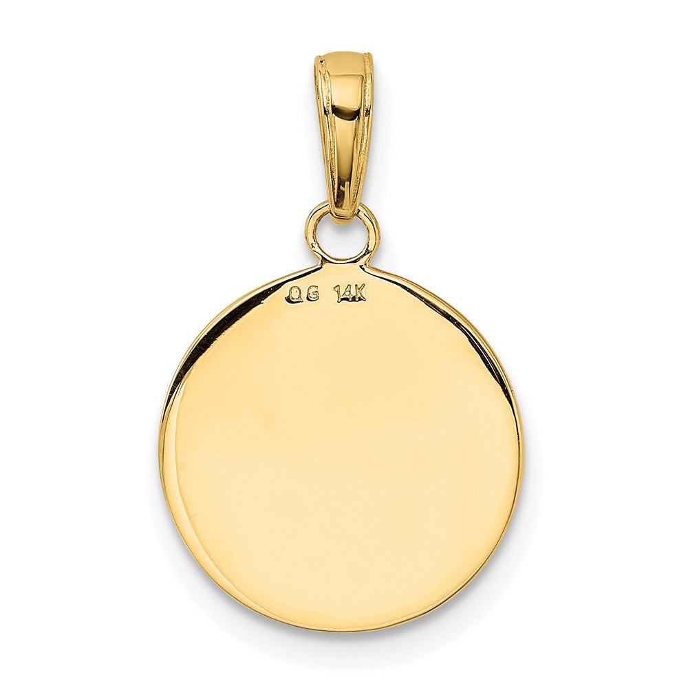 14K Gold Satin And Polished Saint Francis Medal Pendant