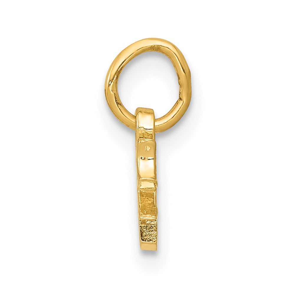 14k Chinese Symbol Good Luck Charm