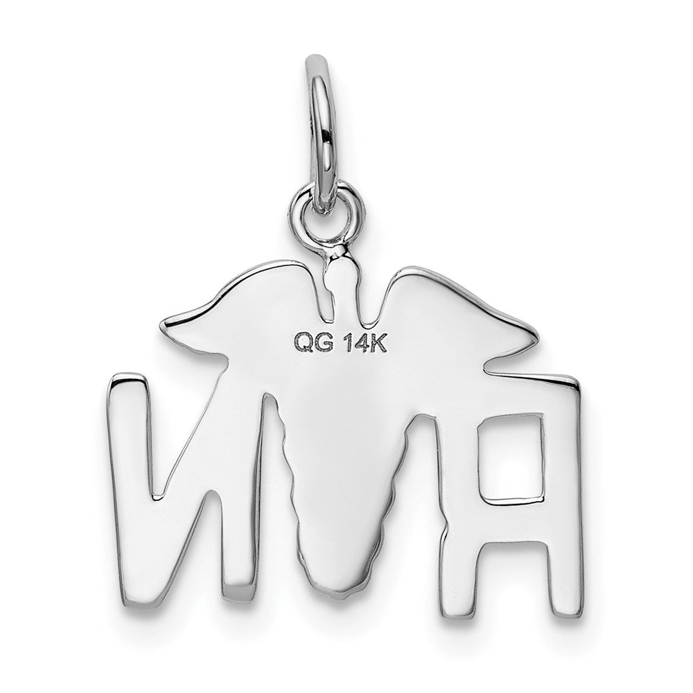 14k White Gold RN Charm