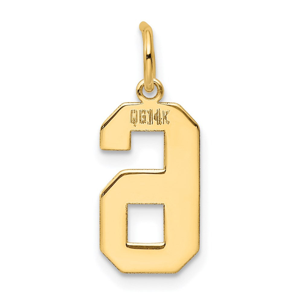 14k Medium Polished Number 6 Charm