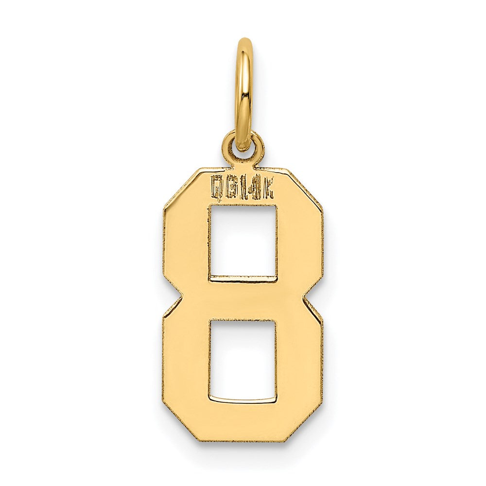 14k Medium Polished Number 8 Charm