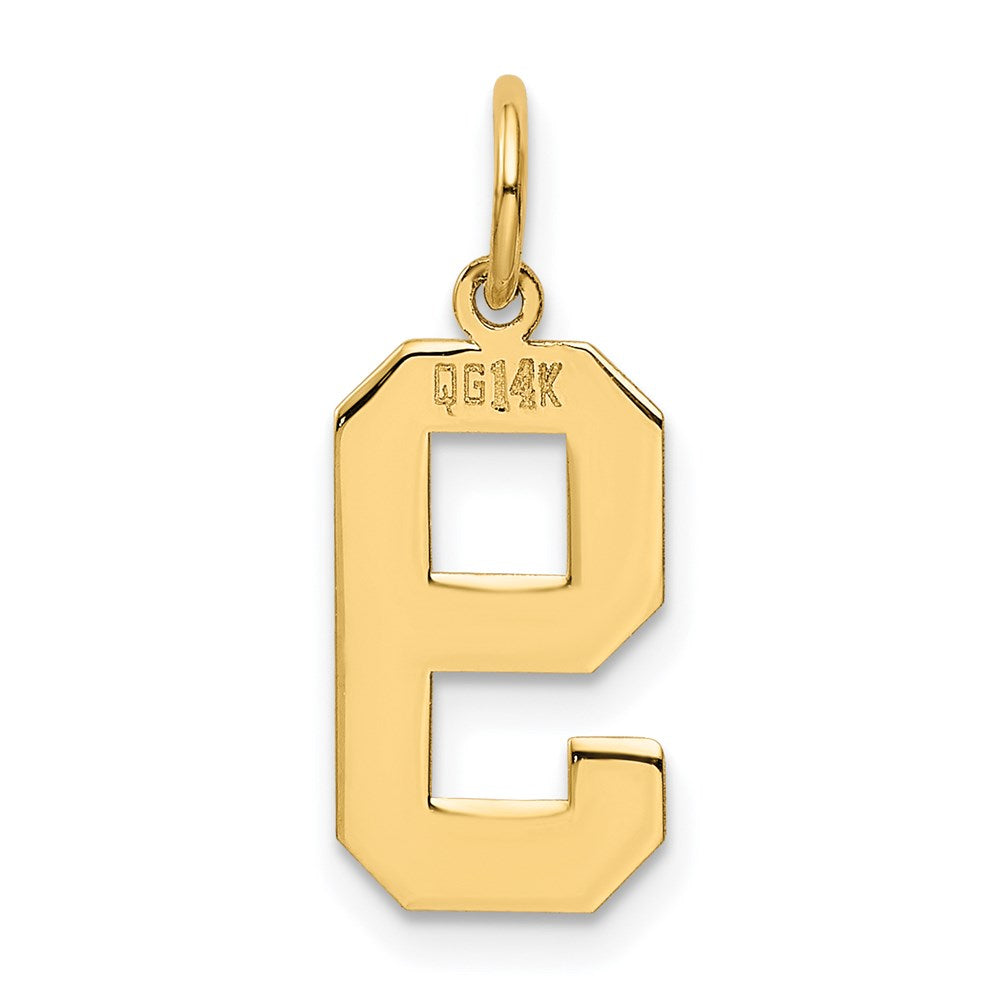 14k Medium Polished Number 9 Charm