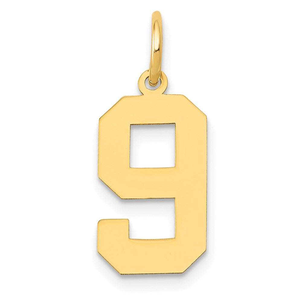 14k Medium Polished Number 9 Charm