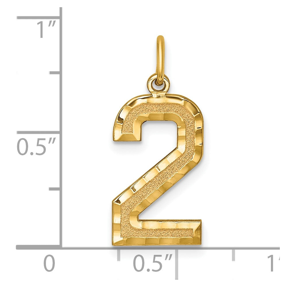 14k Large Brushed Diamond-cut Number 2 Charm