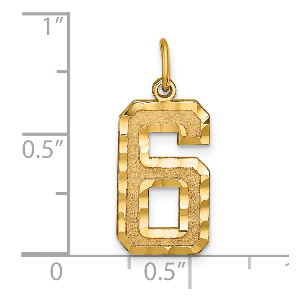 14k Large Brushed Diamond-cut Number 6 Charm