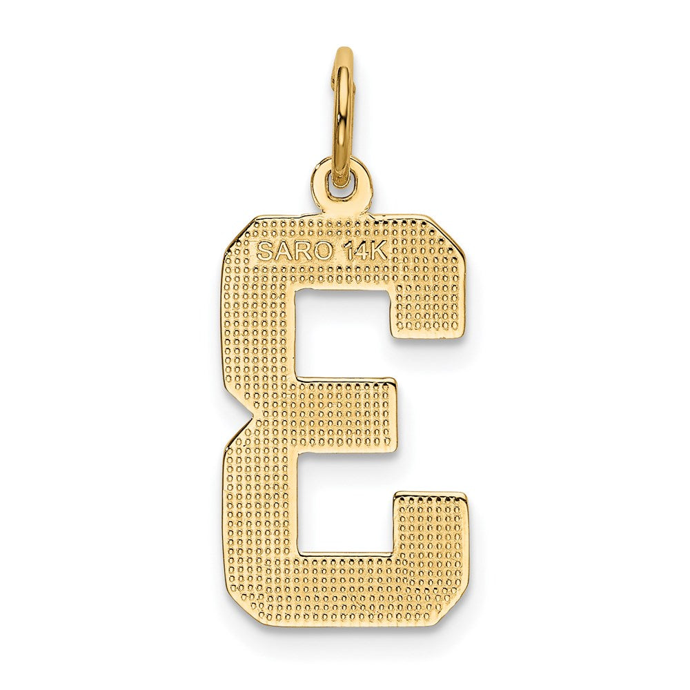 14k Large Polished Number 3 Charm