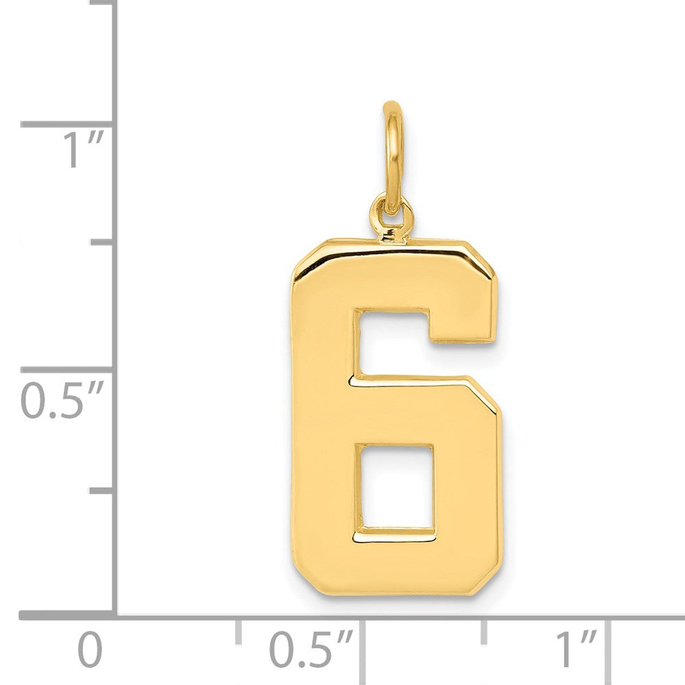 14k Large Polished Number 6 Charm