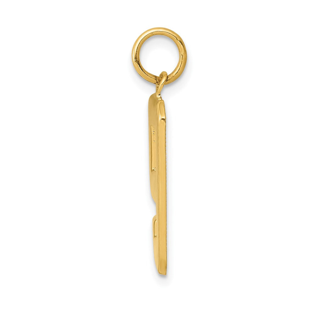 14k Large Polished Number 9 Charm