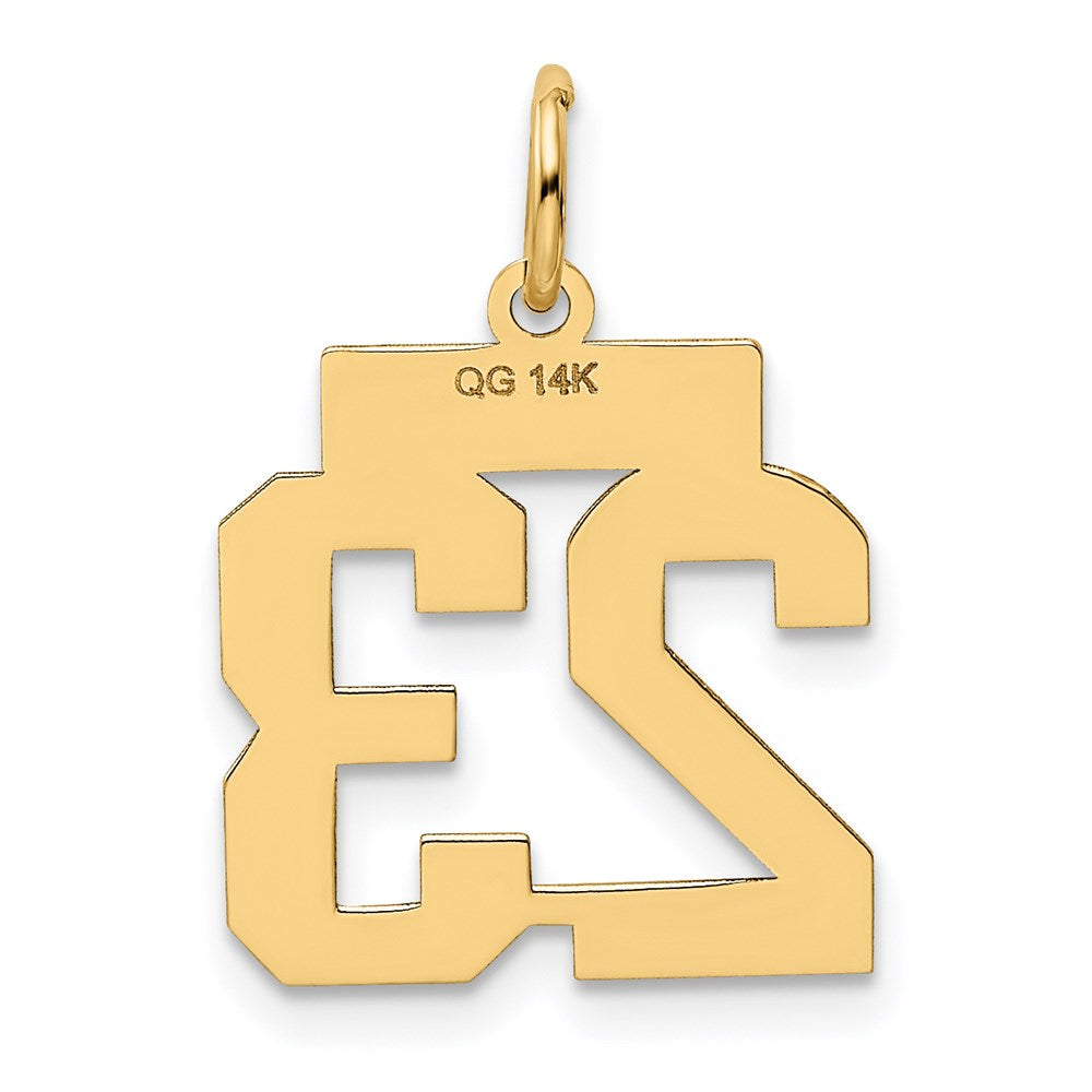 14k Small Polished Number 23 Charm