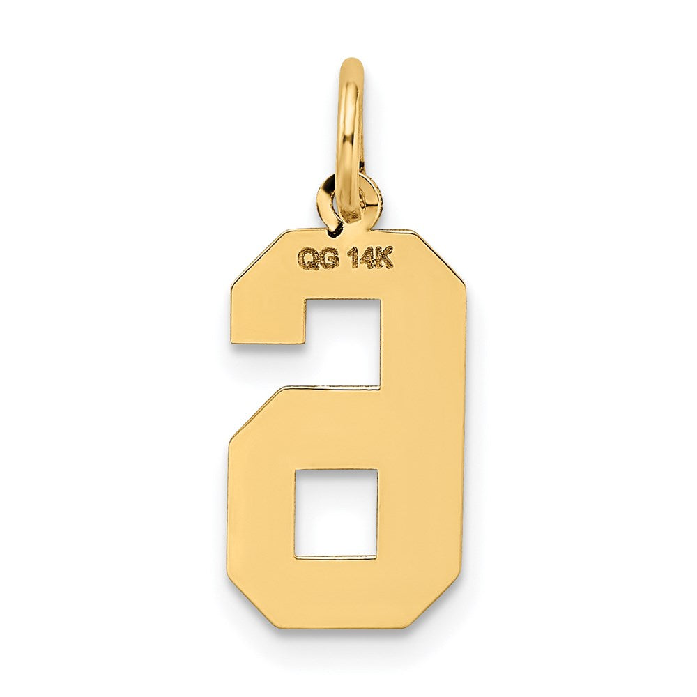 14k Medium Satin Number 6 Charm