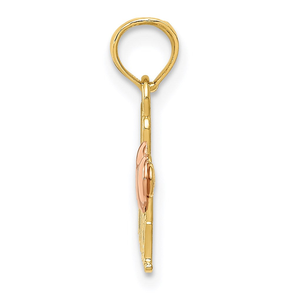14k Two-Tone WE LOVE NANA Charm