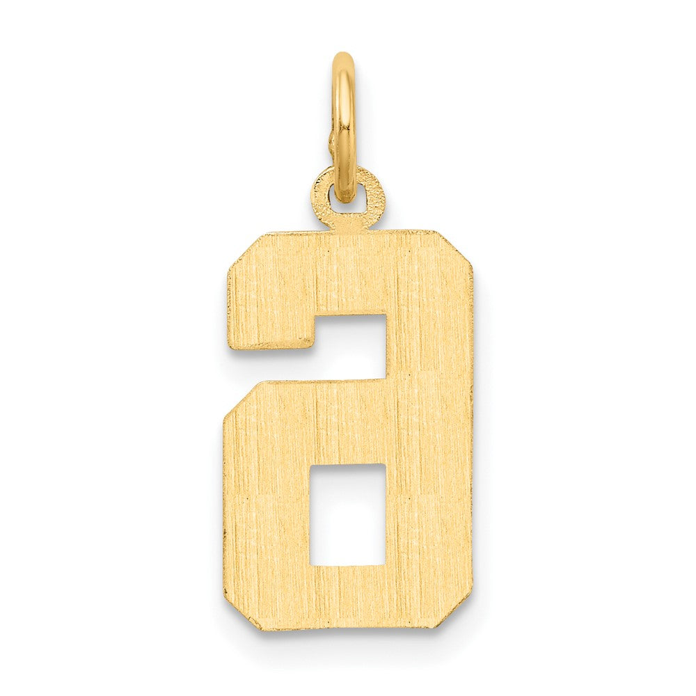 14k Medium Diamond-cut Number 6 Charm