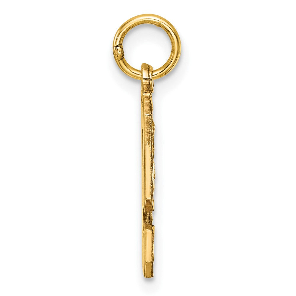 14k Medium Diamond-cut Number 9 Charm