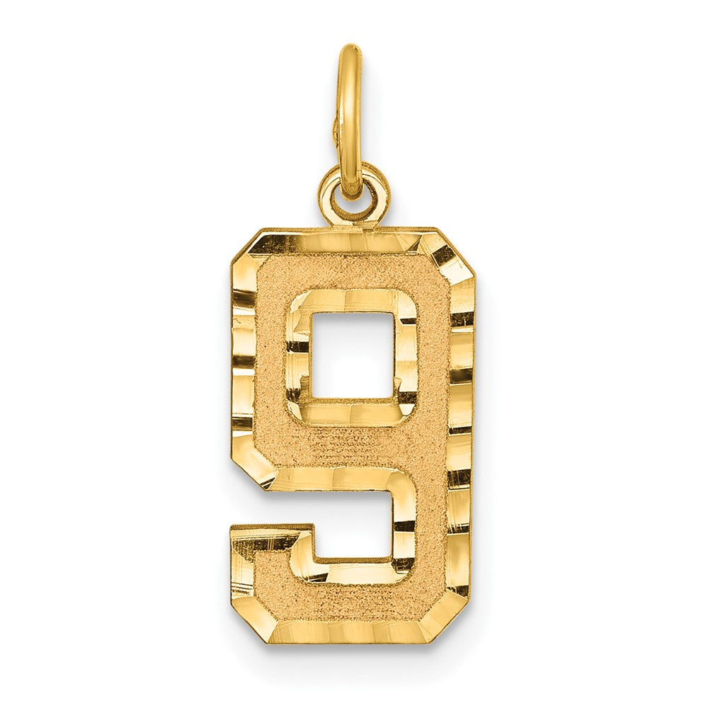 14k Medium Diamond-cut Number 9 Charm