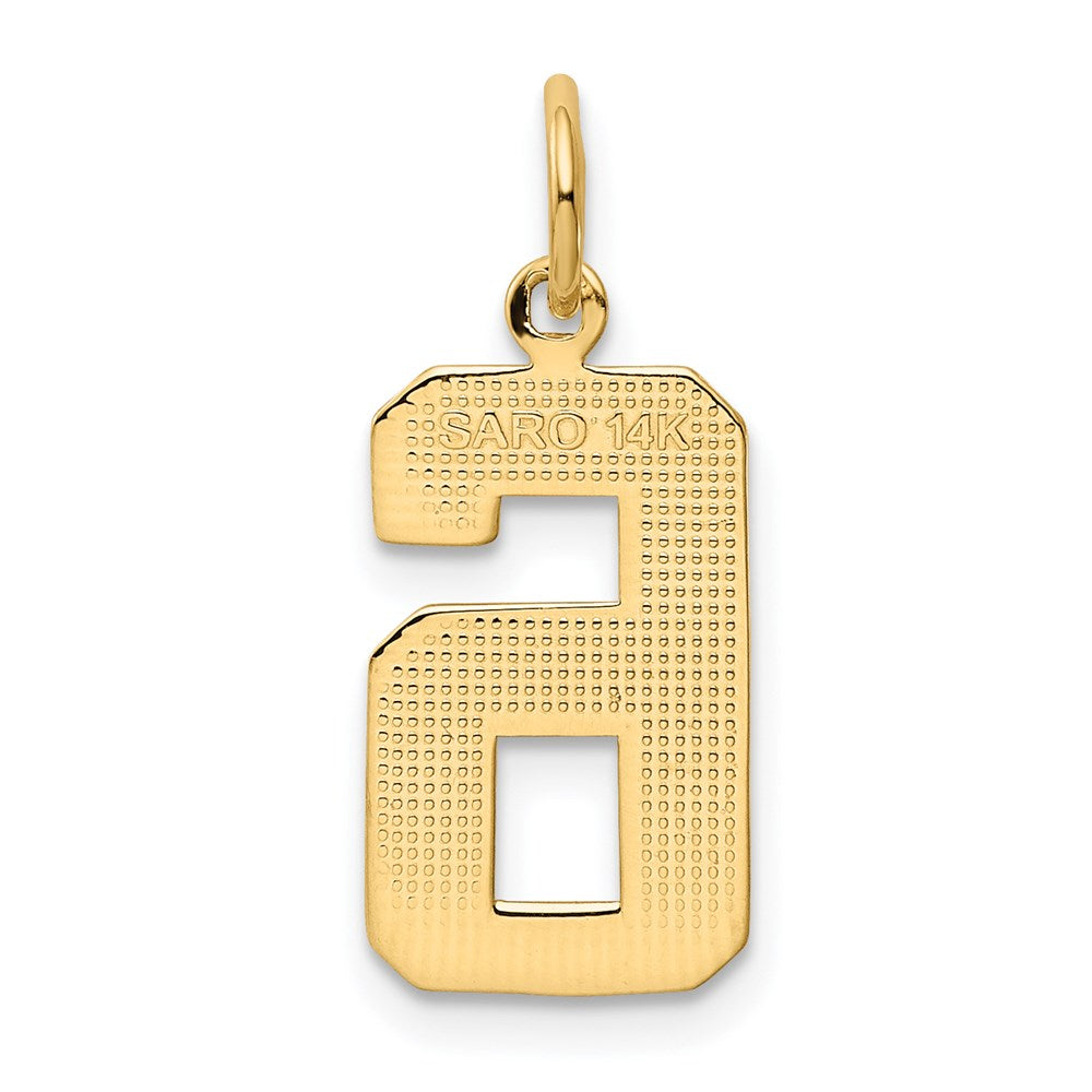 14k Medium Polished Number 6 Charm