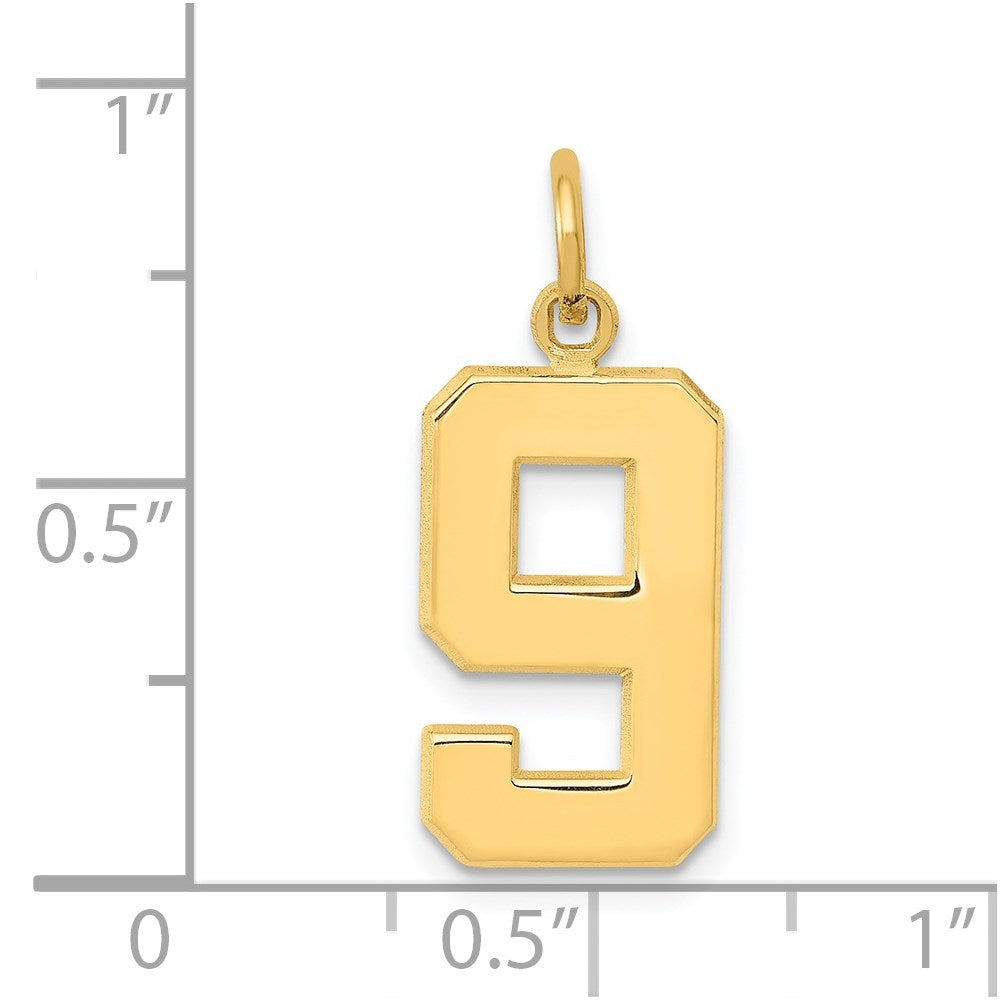 14k Medium Polished Number 9 Charm
