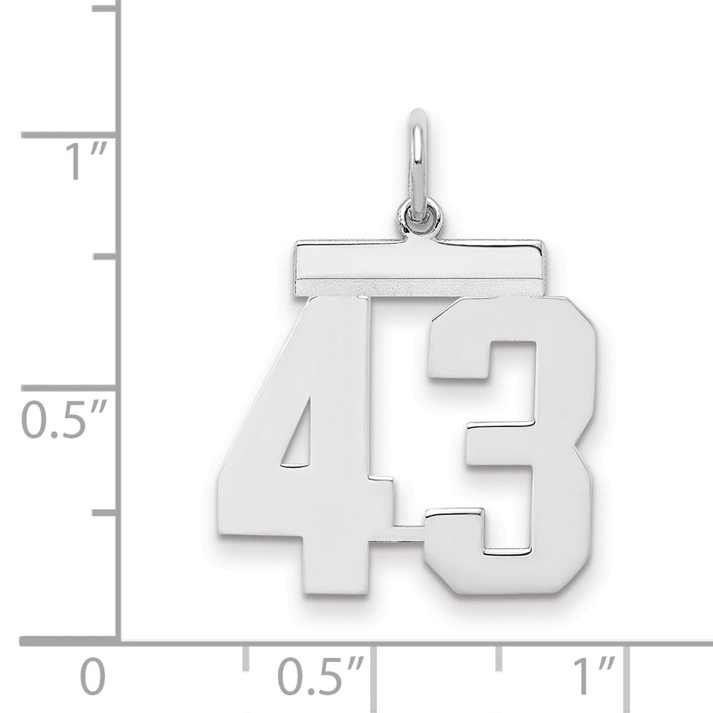 Sterling/Silver Rhodium-plated Polished Number 43 Charm