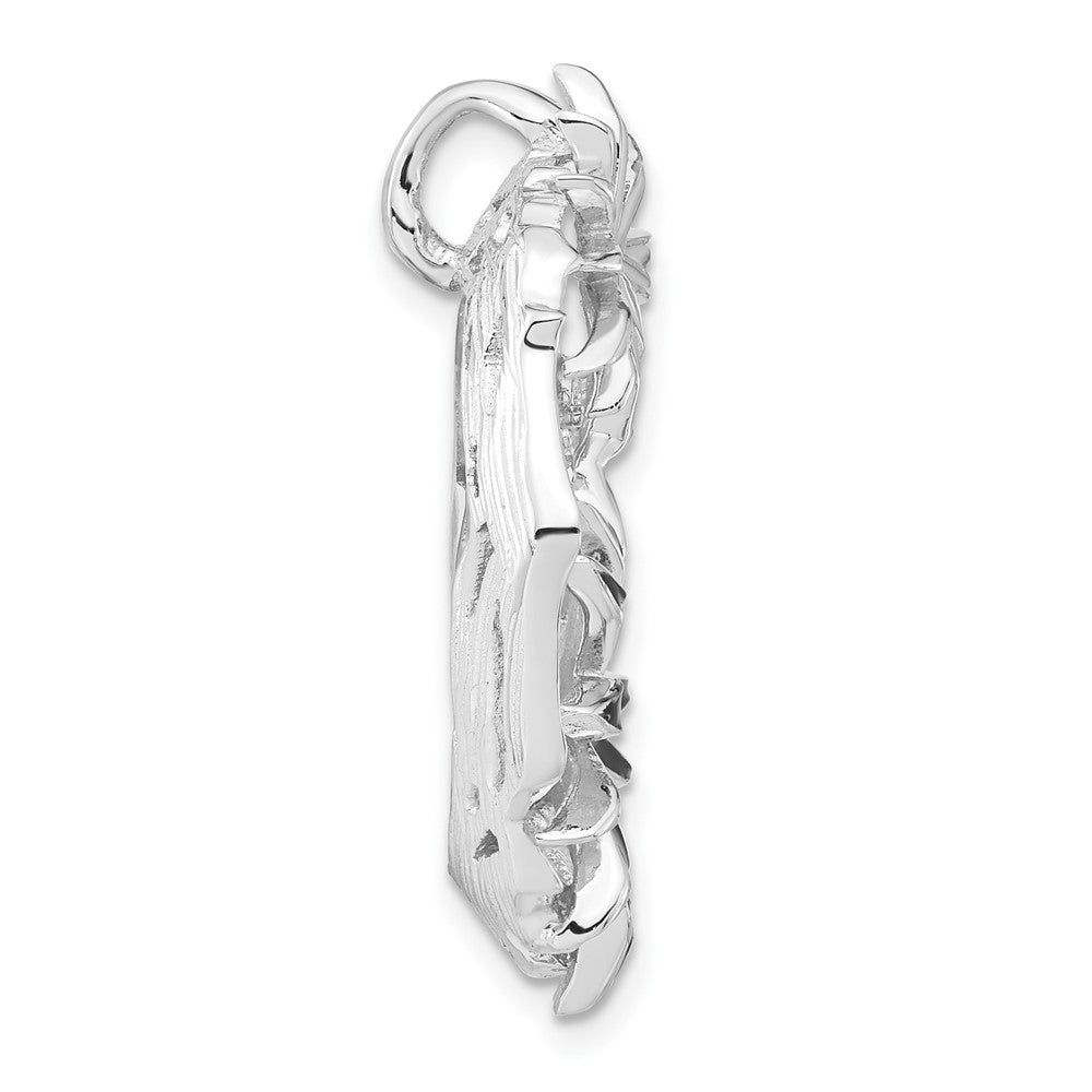 Sterling Silver Polished & Satin Black & White Enamel CZ Slide