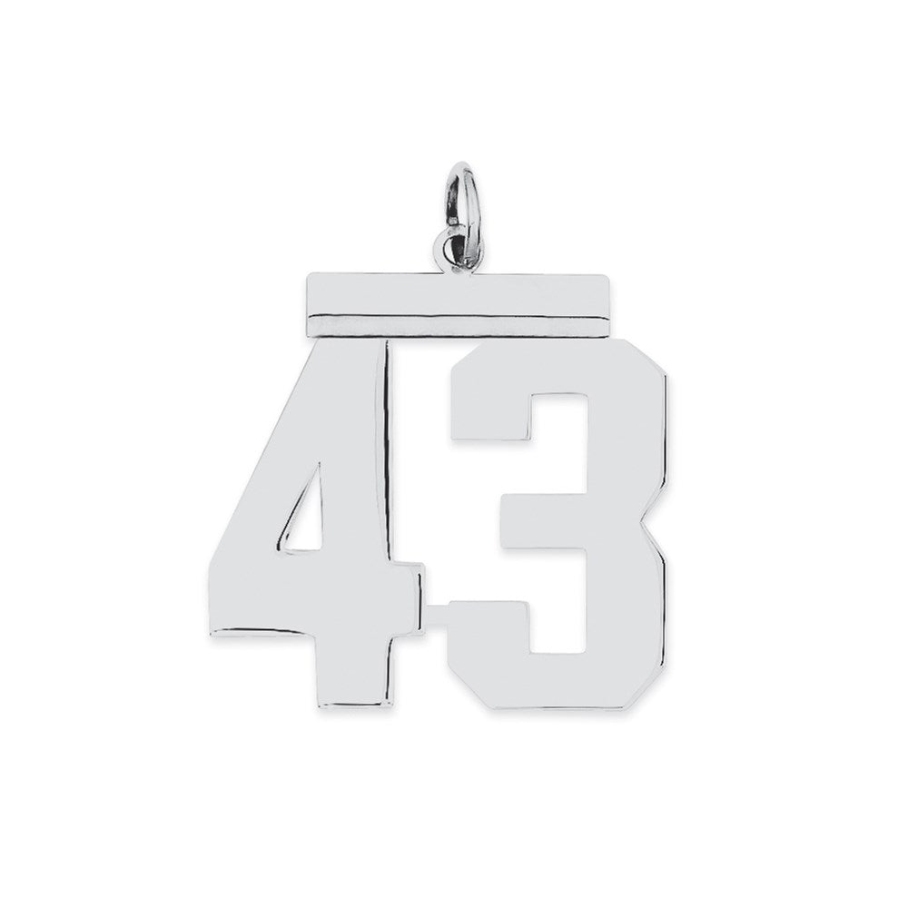 Sterling Silver/Rhodium-plated Polished Number 43 Charm