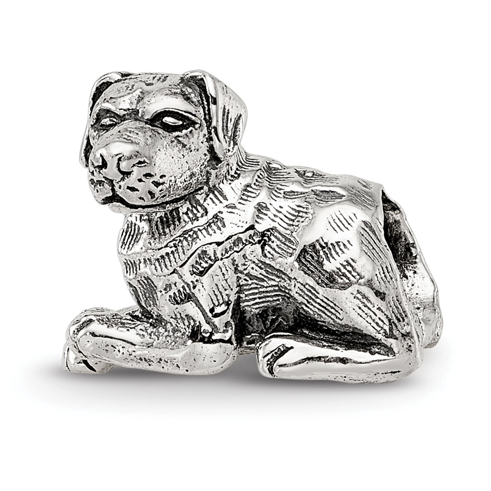 Sterling Silver Reflections Rottweiler Bead Size: 10MM X 11.82MM