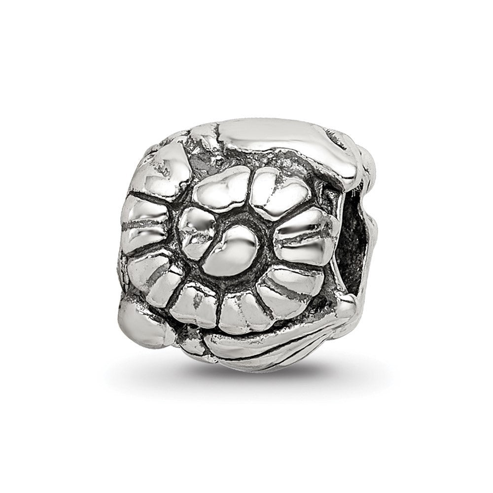 Sterling Silver Reflections Shells Bead