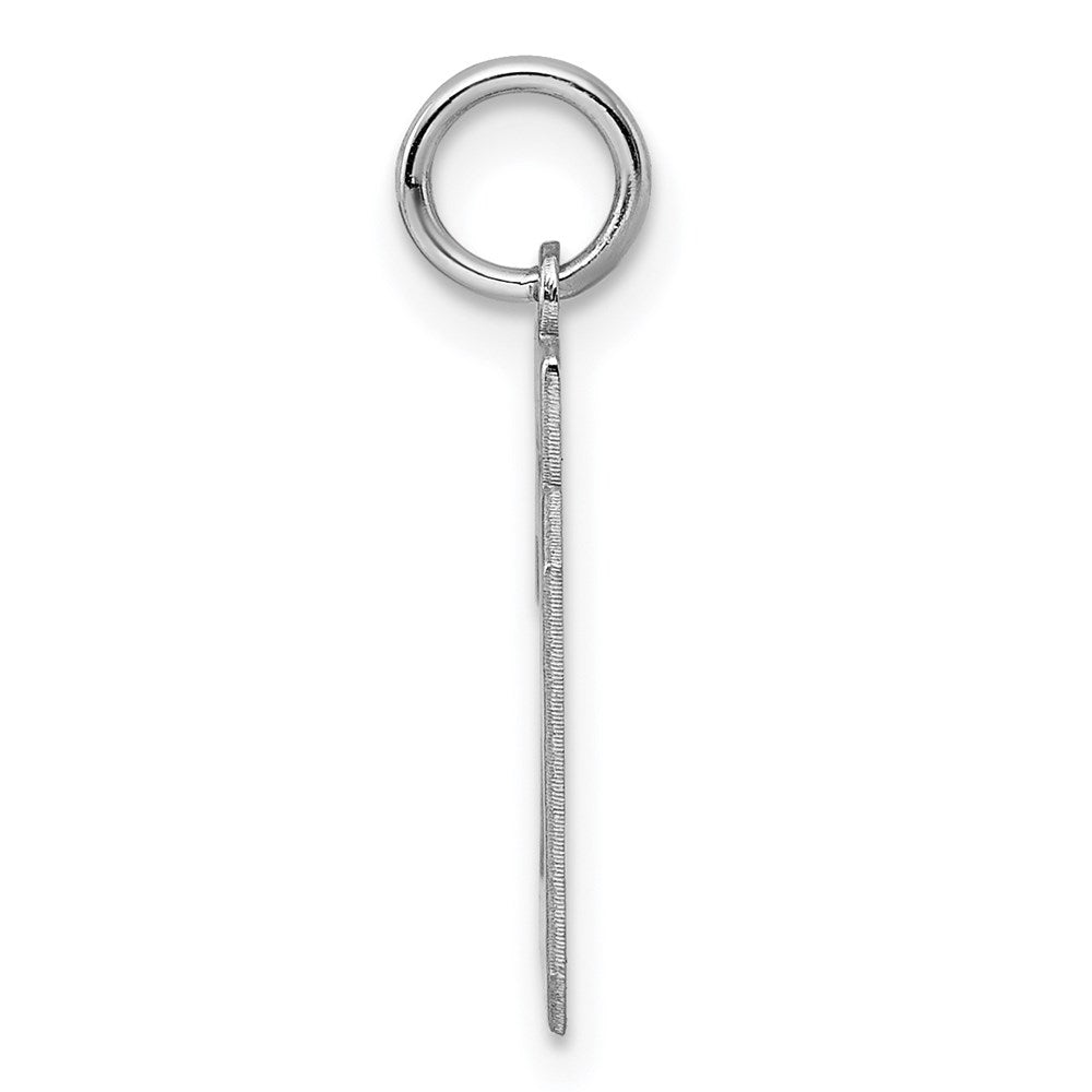 Sterling Silver/Rhodium-plated Polished Number 29 Charm