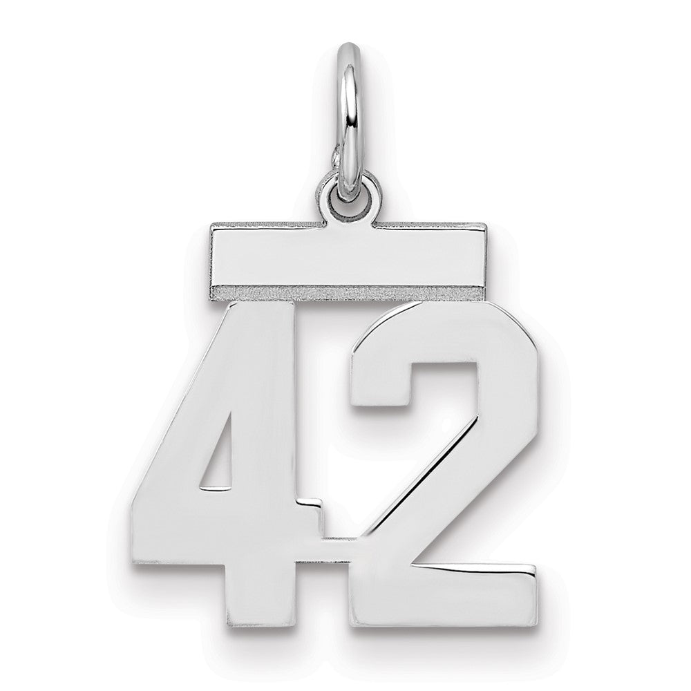 Sterling Silver/Rhodium-plated Polished Number 42 Charm