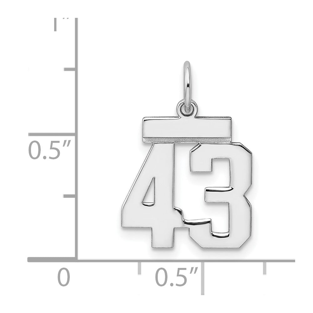Sterling Silver/Rhodium-plated Polished Number 43 Charm