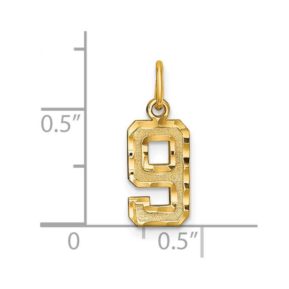 14k Small Brushed Diamond-cut Number 9 Charm