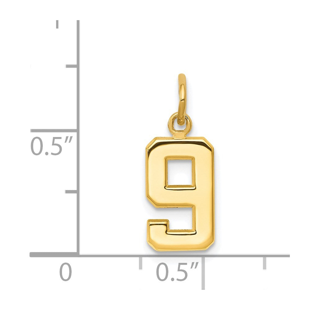 14k Small Polished Number 9 Charm