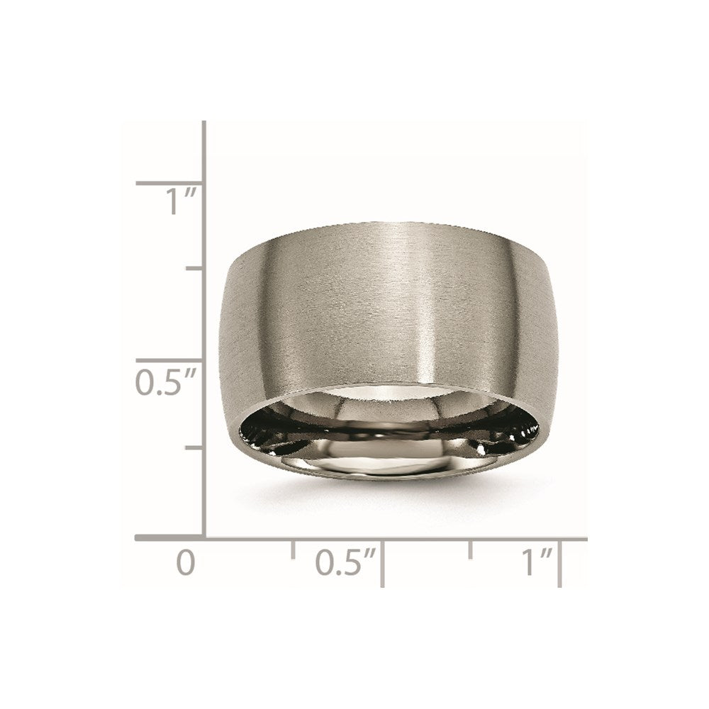 Chisel Titanium Brushed 12mm Half Round Band