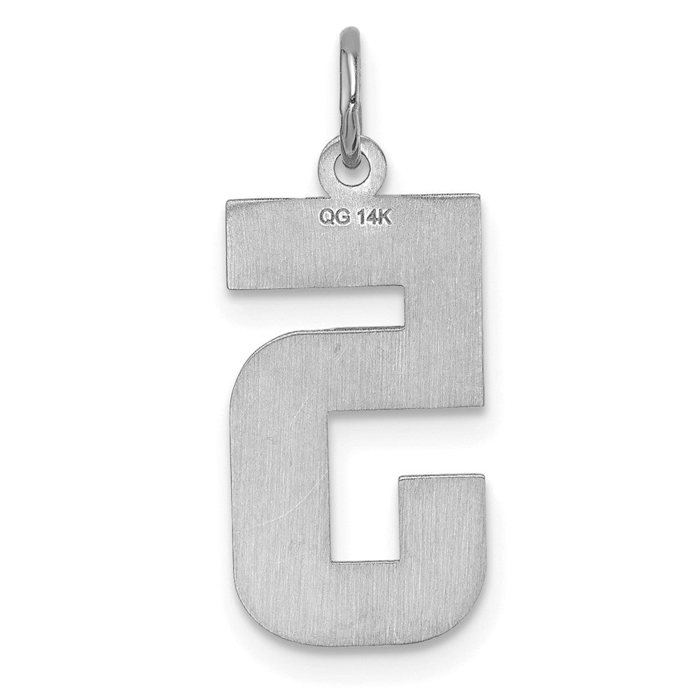 14kw Large Brushed Diamond-cut Number 5 Charm