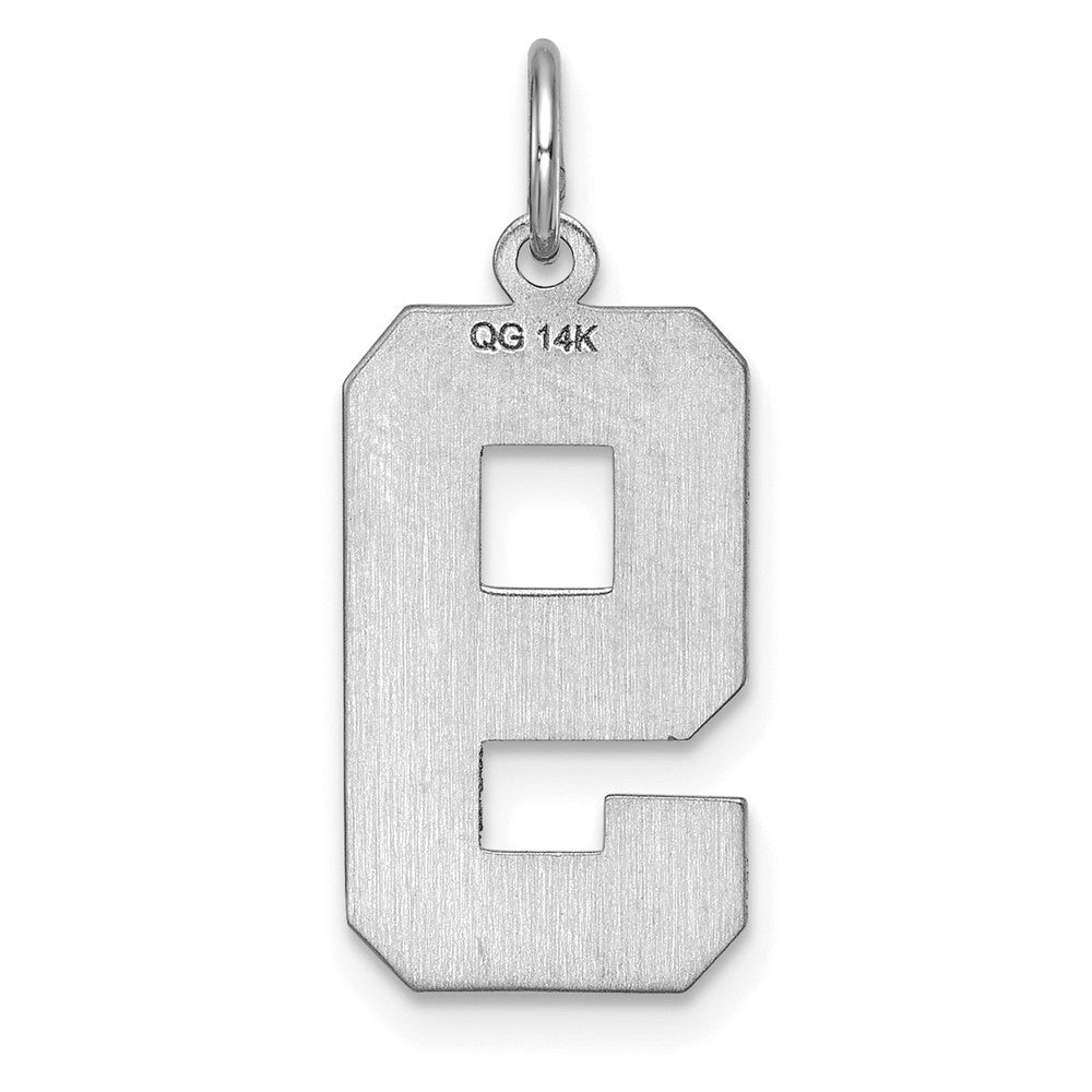 14kw Large Brushed Diamond-cut Number 9 Charm