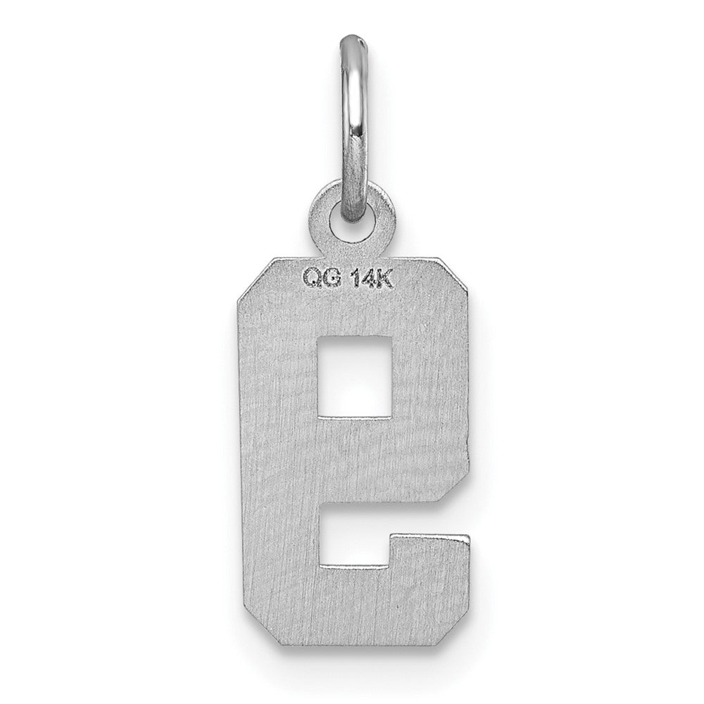 14kw Small Brushed Diamond-cut Number 9 Charm